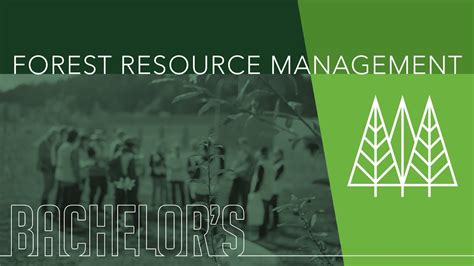 Forest Resource Management Bachelors Degree Program Youtube