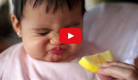 Babies Eating Lemon Face Compilation So Cute And Hilarious Must