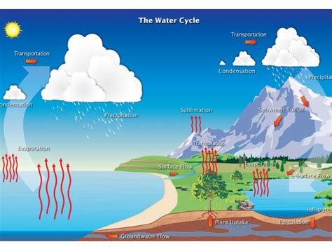 The Water Cycle Science Showme