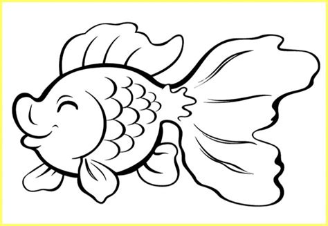 sketsa gambar ikan hias tawar laut lengkap nemo