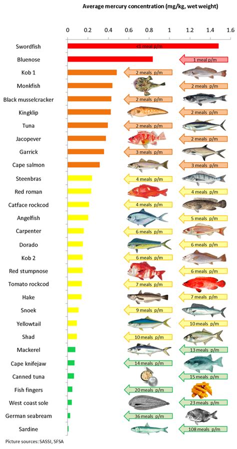 See Potentially Dangerous Mercury Levels In Sa Retail Fish Health24