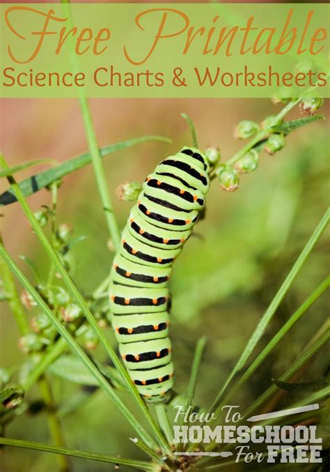 Dimitrios mytilinaios md, phd last reviewed: Free Printable Science Charts and Worksheets