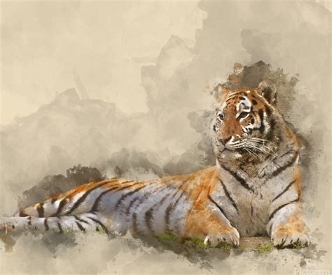 Digital Watercolour Painting Of Beautiful Image Of Tiger Relaxin