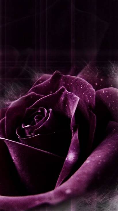 Purple Iphone Dark Flower Wallpapers Desktop Backgrounds
