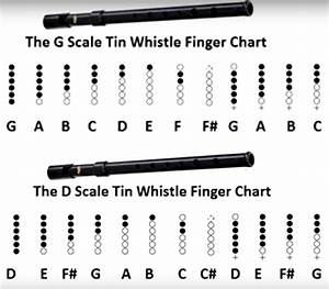 G Vs D Comparison Tin Whistle Finger Chart Tin Whistle Whistle