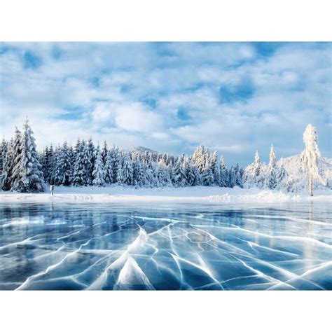 Frozen Lake Holiday Canvas Art Overstock 30218388