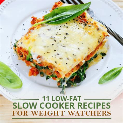 1 55+ easy dinner recipes for busy weeknights. 11 Low-Fat Slow Cooker Recipes for Weight Watchers