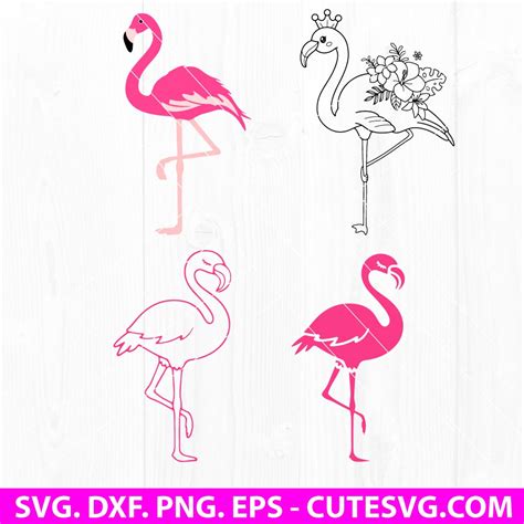 Flamingo Svg Bundle Pink Flamingo Vector Summer Svg