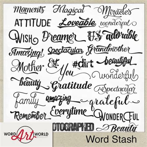 The Word Stash Is Shown In Black And White With Different Font Styles