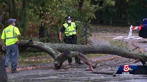 Cleanup Under Way After Storm Downs Trees Power Lines Youtube