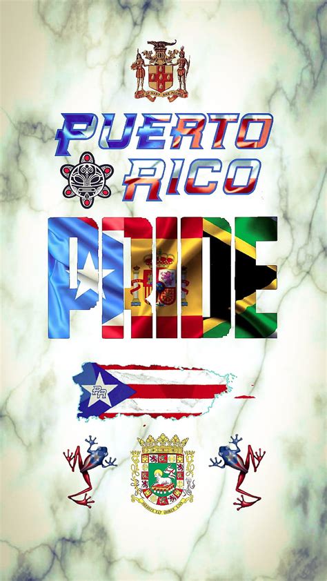 Bandera De Puerto Rico Boricua Borinquen Coqui Isla Del Encanto