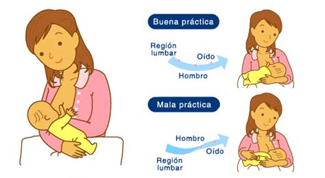 7 Puntos Clave Sobre La Lactancia Materna
