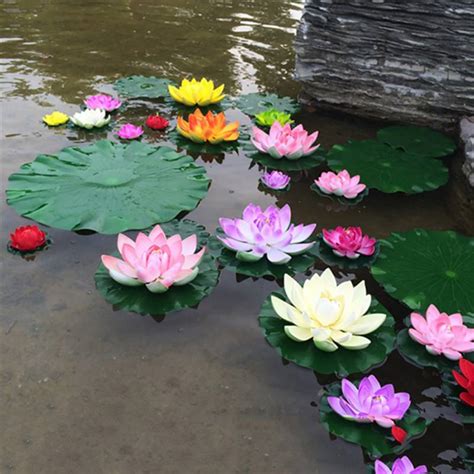 As a rule of thumb, an individual lotus needs if you're stocking the pond with koi, plant several lotuses in individual containers. Lotus Flower Aquarium Decor for Fish Tank and Pond 7 ...