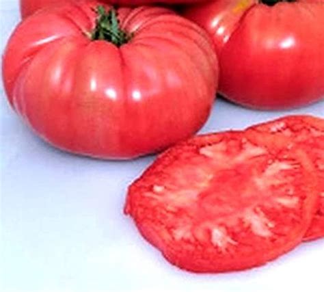 Giant Belgium Tomato Seeds For Growing The Belgian