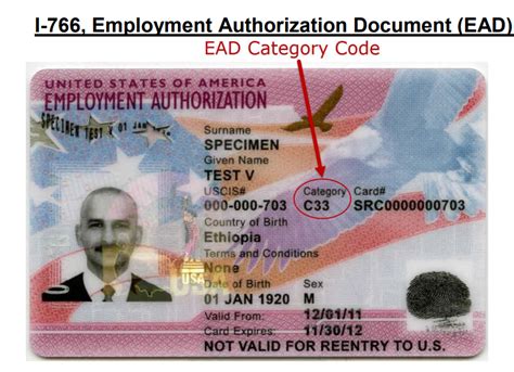 An employee authorization document, or ead card, gives a person from another country legal authorization to work in the united states.8 min read. USCIS Employment Authorization Card EAD Category Codes - USA