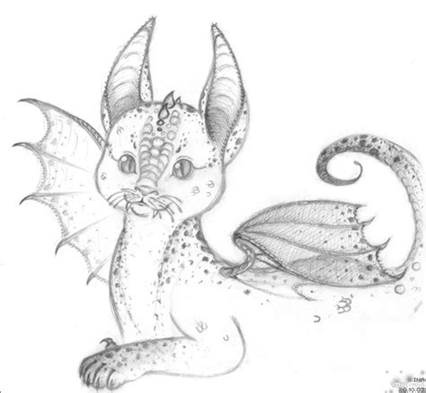 Dragon Cat By Ina Tyan On Deviantart