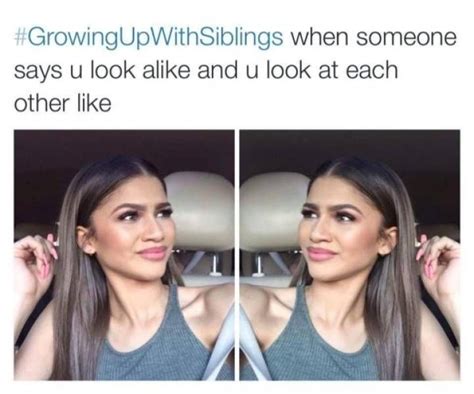 37 Sibling Memes That Prove They Can Be So Annoying Sibling Memes Siblings Funny Growing Up