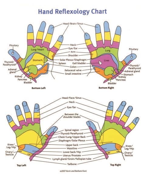 Reflexology Chart Foot Reflexology Chart Hand Reflexology Chart