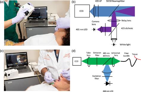 Development Of An Integrated Multimodal Optical Imaging System With