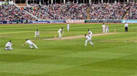 31643 Cricket Stock Photos Free And Royalty Free Stock Photos From