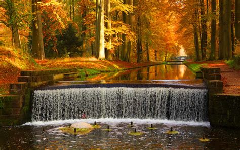 Free Download Autumn Waterfalls Hd Desktop Wallpaper 1600x1000 For