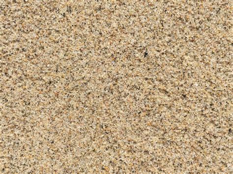 We did not find results for: Noisy speckled wet beach sand texture | Free Textures