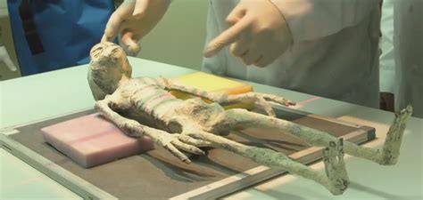 A new video of the study of mummies of extraterrestrials discovered in