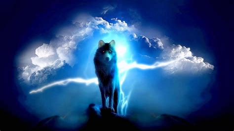 The Lone Wolf Hd Wallpapers Wolf Wallpaperspro