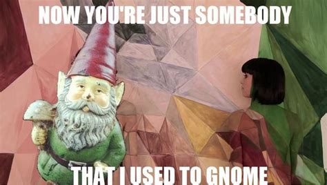 Somebody That I Used To Gnome With Images Gnomes Birthday Meme Memes