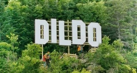 Giant Dildo Sign Is On Private Property Please Stay Away Urges Nl
