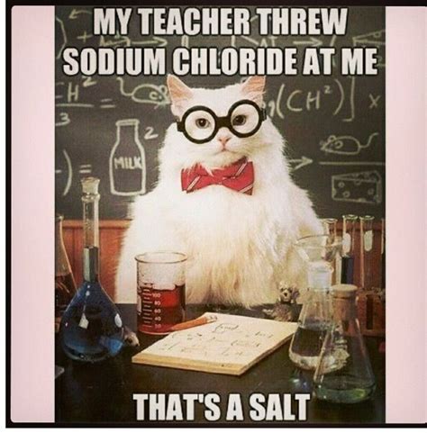 Smart Kitty Lol Nerdy Jokes Chemistry Cat Science Jokes