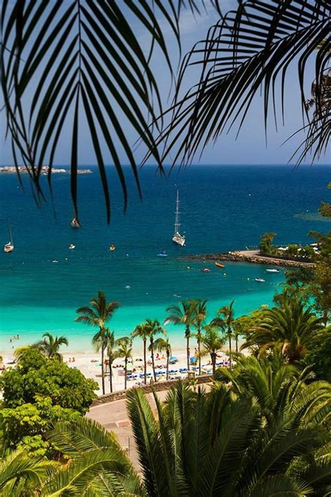 Beste strandhotels in puerto rico bei tripadvisor: anfi del mar strand in Puerto rico #scubadivingart ...