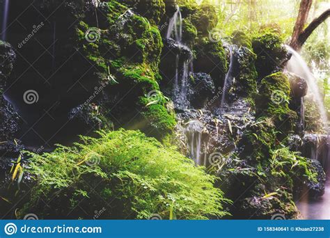 The Beauty Of Mosses And Rocks On Waterfalls In Nature Stock Image
