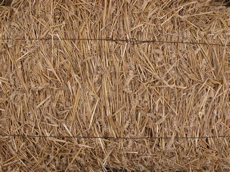 Imageafter Photo Hay Bale Of Haybale Straw Straws Dense Brown Dry