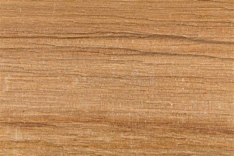 Birch Wood Texture Stock Image Image Of Hardwood Home 62691443