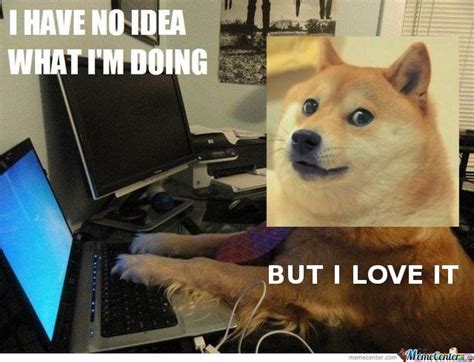 He added, no highs, no lows, only doge, and shared a lion king meme shares of amc entertainment (nyse: This is how I feel after started mining with my CPU. To the moon! : dogecoin