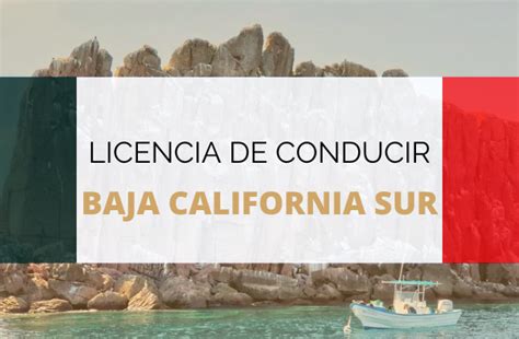Licencia De Conducir En Baja California Sur【2022 】 Tramitar Y Renovar