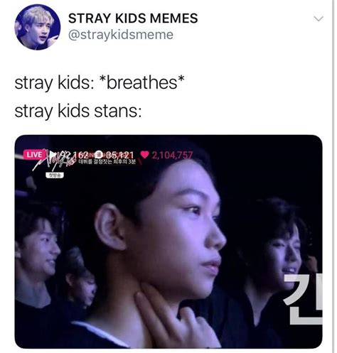 Stray Kids Memes Stray Kids Amino