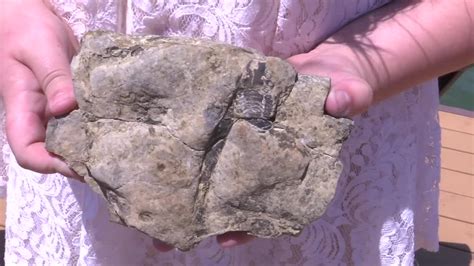 East Tennessee Girl Finds 475 Million Year Old Fossil