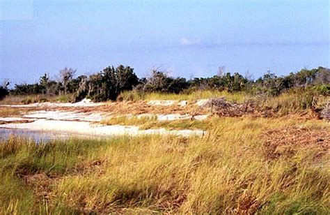 Cedar Island North Carolina United States Private Islands For Sale