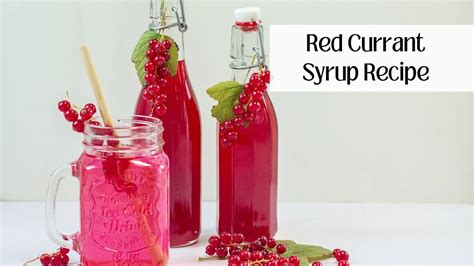 How To Make Homemade Red Currant Syrup Easy Recipe Youtube
