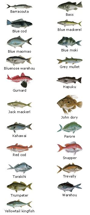 Saltwater Fish Identifier North Carolina Saltwater Fish Id Chart 2017