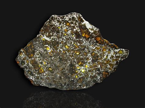 Meteorite Slice For Sale Admire Pallasite 975 Grams Fossil Realm
