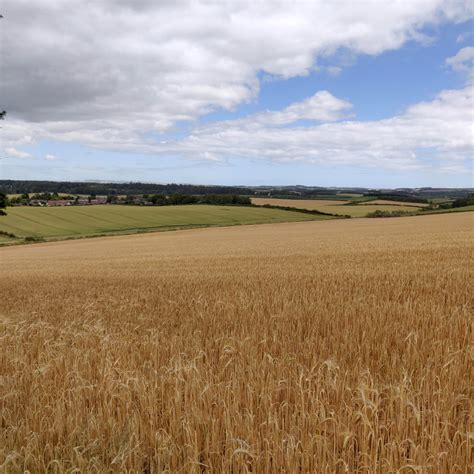 Flodden Field • Walks with the Wife