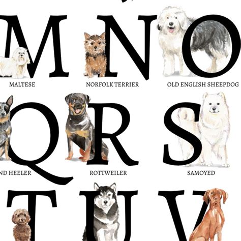 Abc Dog Alphabet Print Abc Dog Breeds Wall Art Dog Nursery Etsy