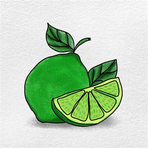 How To Draw A Lime Helloartsy