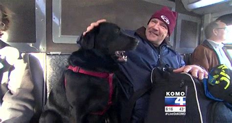 Huffpost Seattle Dog Figures Out Buses Starts Riding Solo