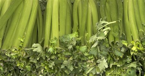 How To Grow Celery At Home Its Easier Than You Think Los Angeles Times