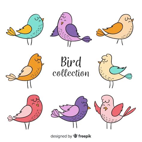 Colorida Colección De Aves Dibujadas A Mano Vector Gratis