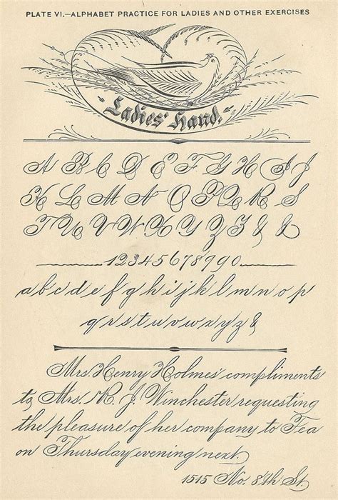 100 complete fonts (lettering, calligraphy, typography) by dan x. Good Penmanship is a lost art, these days! | Calligraphy ...